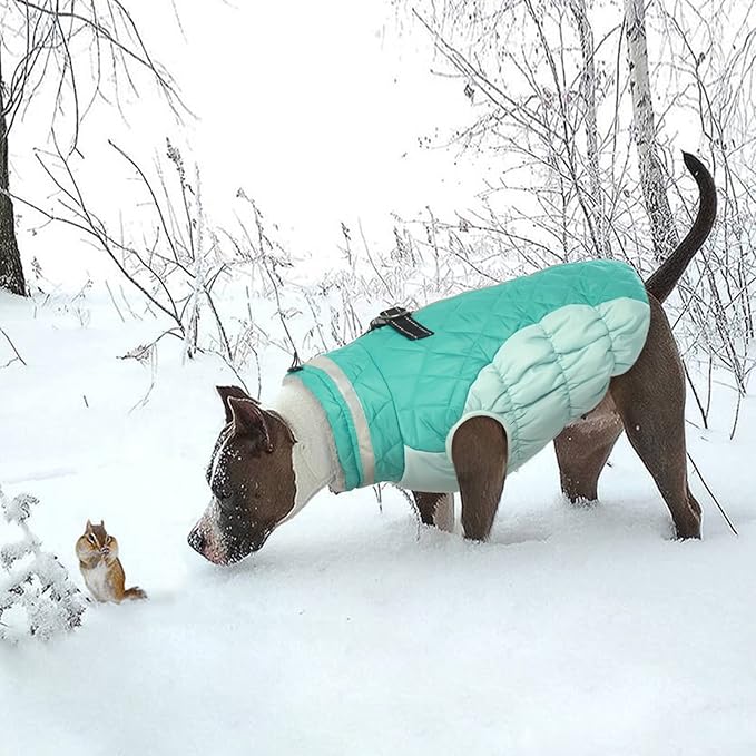 Lelepet Dog Coat Warm Dog Winter Coat Waterproof Dogs Jacket with Harness Built in Reflective Pet Fleece Vest Zip-Up Cold Weather Coats for Dogs Turtleneck & Windproof Coats Chihuahua Mint Green XS