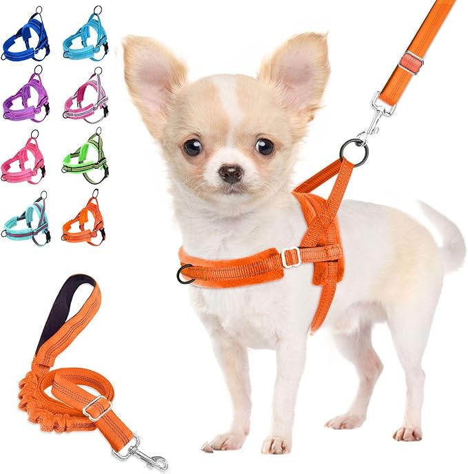 Lukovee No Pull Dog Harness and Leash Set, Soft Padded Small Dog Harness, Neck & Chest Adjustable Reflective Vest Puppy Harness with 4ft Lightweight Anti-Twist Dog Leash for Small Dogs (Orange, XS)