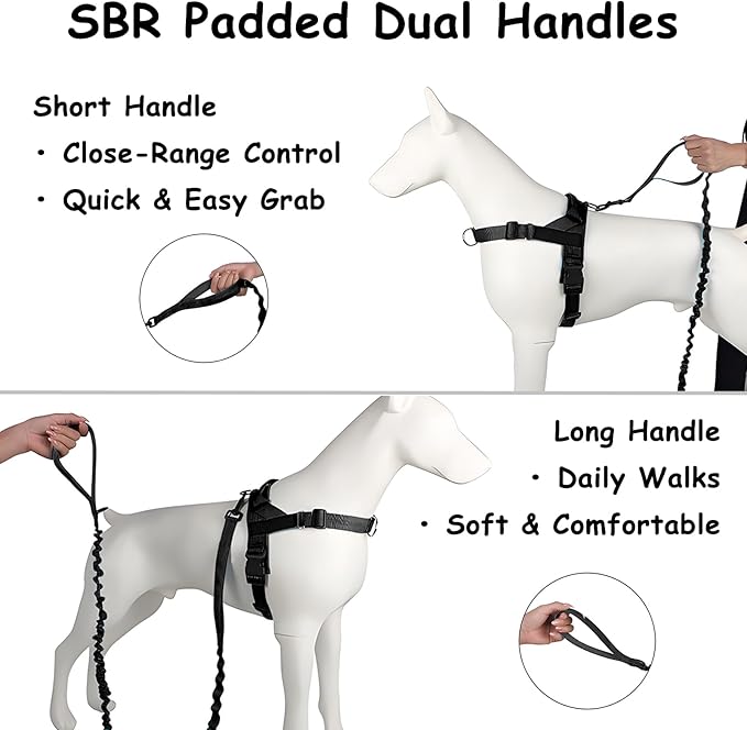 Bungee Dog Leash with Shock Absorption, Dual Handles for Pull Control, Reflective Nylon, Zinc Alloy Hook, D-Ring for Poop Bags, Black, L