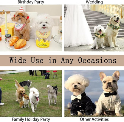 Pet Dresses for Small Dogs Cats Girl, Cute Princess Bowknot Dress Puppy Shirt All Weather Skirt Clothes Cat Apparel for Birthday Wedding Party Holiday (Khaki&Black, Large)
