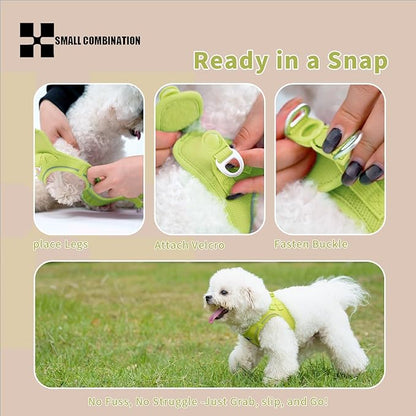 Adjustable Dog Harness with Leash, Reflective Mesh, No-Pull Design，Matching Lead Rope (Lemon Yellow, XXXS)