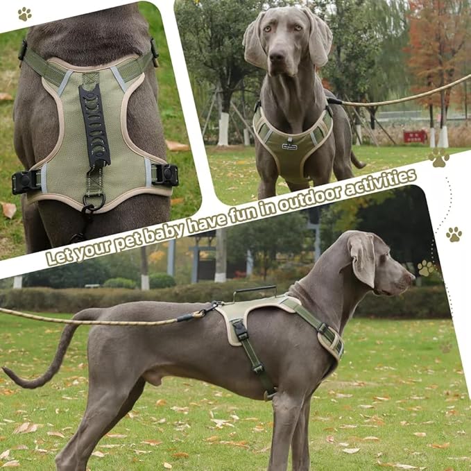 Dog Harness No Pull Adjustable Reflective,for Medium and Large Small Dog with Leash 59.06in (Khaki, L)