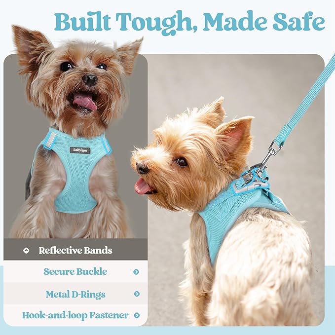 rabbitgoo Dog Harness Small Sized and Leash Set, Step in Soft Light Puppy Vest, Breathable Mesh Pet Harness, Reflective for Safe Easy Walking, Mint Blue M