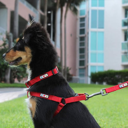 Pawtitas Solid Step-in Dog Harness – Adjustable No-Pull Vest for Puppies to Seniors, Safe & Comfortable M Blue