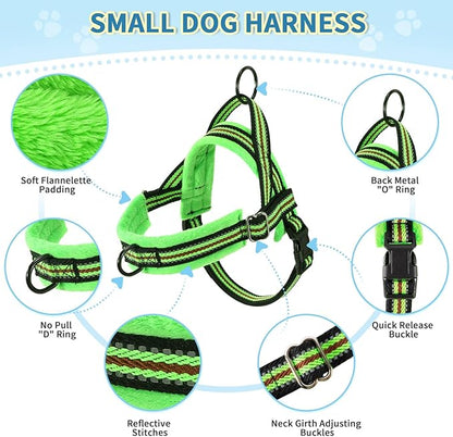 Lukovee No Pull Dog Harness and Leash Set, Soft Padded Small Dog Harness, Neck & Chest Adjustable Reflective Vest Puppy Harness with 4ft Lightweight Anti-Twist Dog Leash for Small Dogs (XXS, Green)