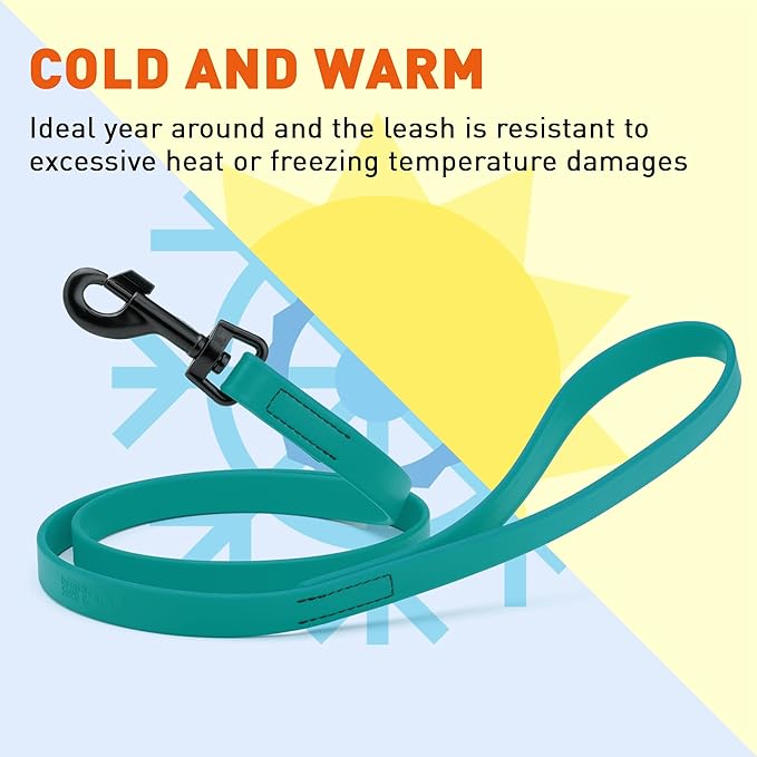Dogline Biothane Waterproof Dog Leash Strong Coated Nylon Webbing with Black Hardware Odor-Proof Easy to Clean High Performance for Small or Large Dogs Made in USA 4 or 6 ft Lead, Blue Aqua