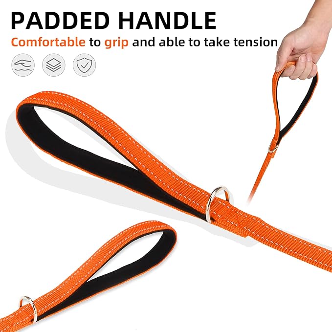 PUPTECK Reflective Dog Leash with Comfortable Padded Handle Durable Nylon Dog Lead for Small Medium and Large Dogs Cats Walking Running Training Outside, Orange