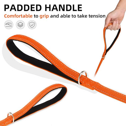 PUPTECK Reflective Dog Leash with Comfortable Padded Handle Durable Nylon Dog Lead for Small Medium and Large Dogs Cats Walking Running Training Outside, Orange