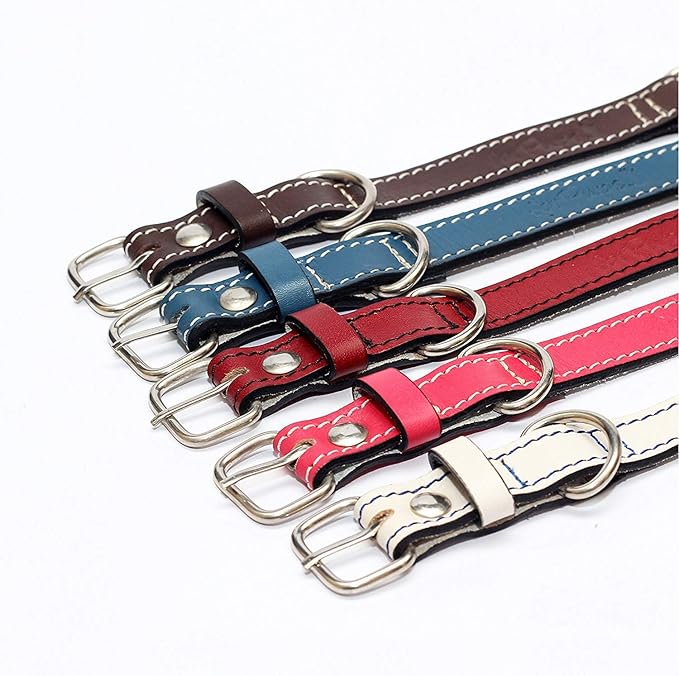 Premium Leather Collars with Stainless Steel Buckles (12"-15", White)