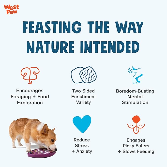 West Paw Seaflex Bubbles Feast Mat – All-in-One, Slow Feeder, Lick Mat – Encourages Foraging & Food Exploration - Engages Picky Eaters & Slow Feeding - Versatile – Easy to Clean, Non-Toxic - Bubblegum