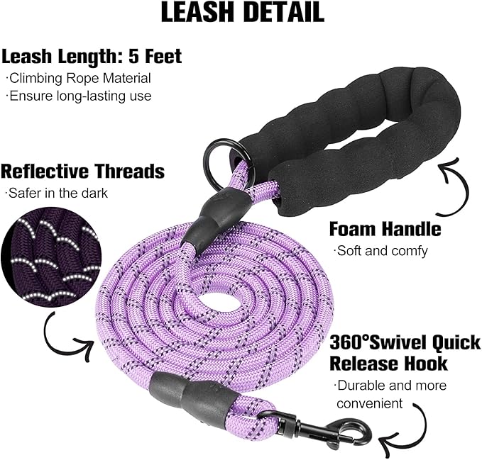 BEAUTYZOO Dog Harness and Leash Set for Small Dogs,No Pull Step-in Harness for Puppy XS S Sized Dogs and Cats,Air Mesh Adjustable Breathable Soft No Choke Escape Proof Vest Harnesses,Striped Purple XS
