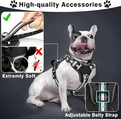 WINSEE Pet Harness Collar and Leash Set, All-in-one Reflective Dog Harness No Pull with Adjustable Buckles for Puppies, Small, Medium, Large, and Extra-Large Dogs (Medium, Black)