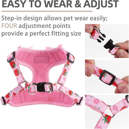 PUPTECK Dog Harness and Leash Set Small Sized, Step in No Pull Adjustable Puppy Cat Harness Reflective Pet Vest