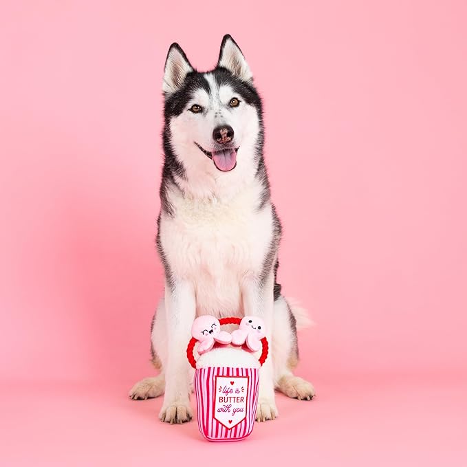 Fringe Studio Plush Dog Toy, My Heart Pops for You, Pet Shop Collection (314314)