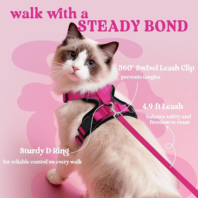 rabbitgoo Cat Harness and Leash for Walking, Escape Proof Soft Adjustable Vest Harnesses for Cats, Easy Control Breathable Reflective Strips Jacket, Rose Red, XS