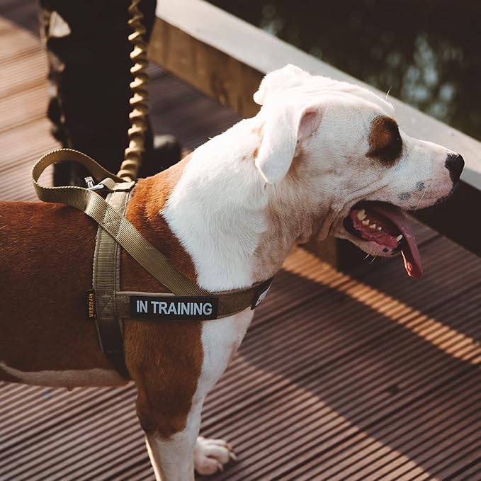 EXCELLENT ELITE SPANKER No Pull Dog Harness Padded Military Patrol Vest Adjustable Nylon Small Service Walking Dog Harness with Handle for Training Running(COB-XS)