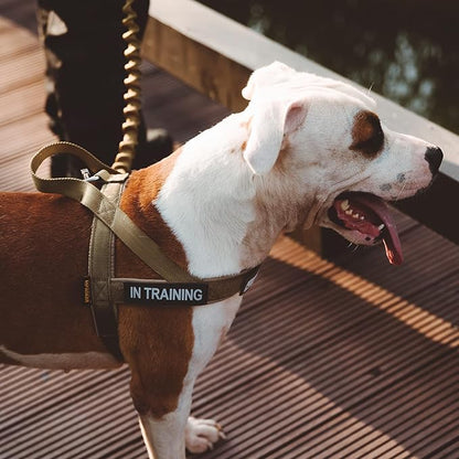 EXCELLENT ELITE SPANKER No Pull Dog Harness Padded Military Patrol Vest Adjustable Nylon Small Service Walking Dog Harness with Handle for Training Running(COB-XS)