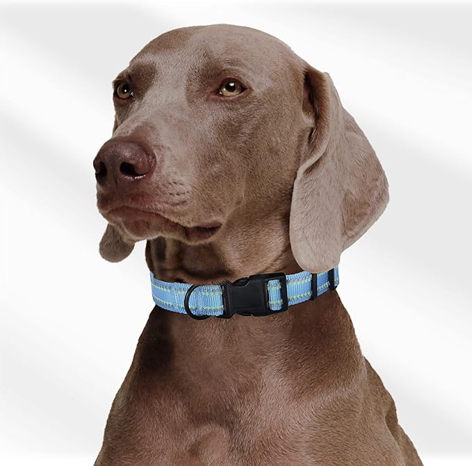 Mile High Life Reflective Dog Collar, Basic Dog Collars Adjustable Quick Release, Soft Nylon Pet Collar with Metal D-Ring for Small Medium Large Dogs (Blue, M Neck13-17")