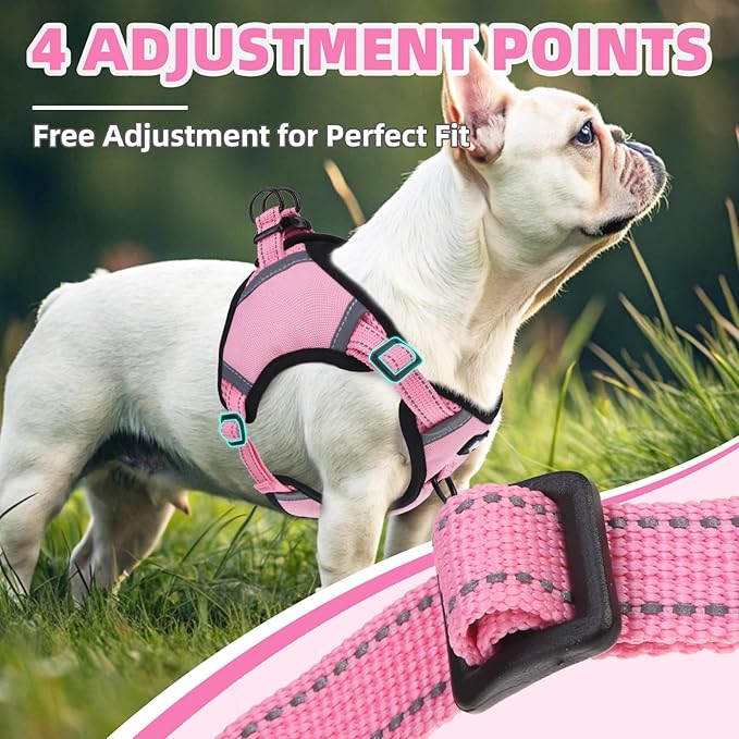 PUPTECK No Pull Dog Harness Small Sized Dog, Adjustable Reflective Escape Proof Easy Control, Comfortable Soft Padded Step in Pet Vest Harness, Pink, XS