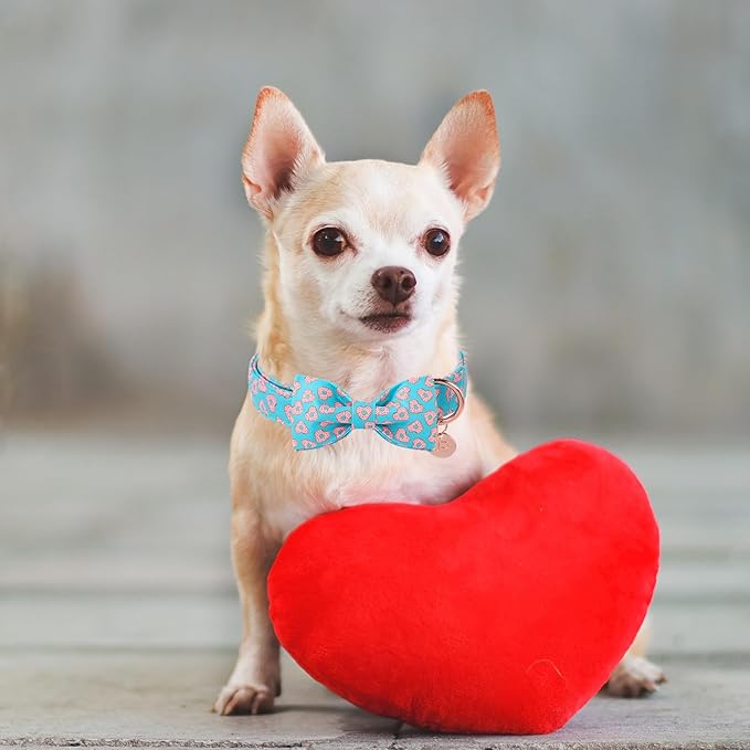 Valentine’s Day Dog Collar with Bow Tie,Donut Heart Bowtie Collar with Metal Buckle,Valentine’s Day Gift Pet Collar for Puppy Girl Boy Dog, Comfortable Dog Collar, M, Neck 13.5-22in