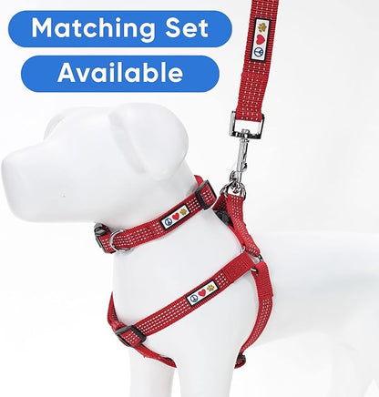 Pawtitas Red Dog Leash 6 ft XS/S Reflective Durable Lightweight Dog Lead for Small Dogs and Puppies