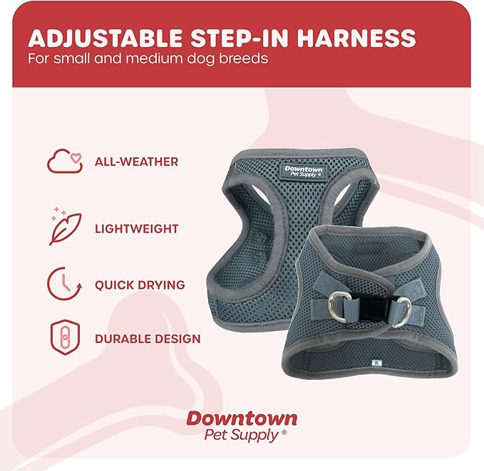 Downtown Pet Supply Step in Dog Harness for Small Dogs No Pull, X-Small, Titanium - Adjustable Harness with Padded Mesh Fabric and Reflective Trim - Buckle Strap Harness for Dogs