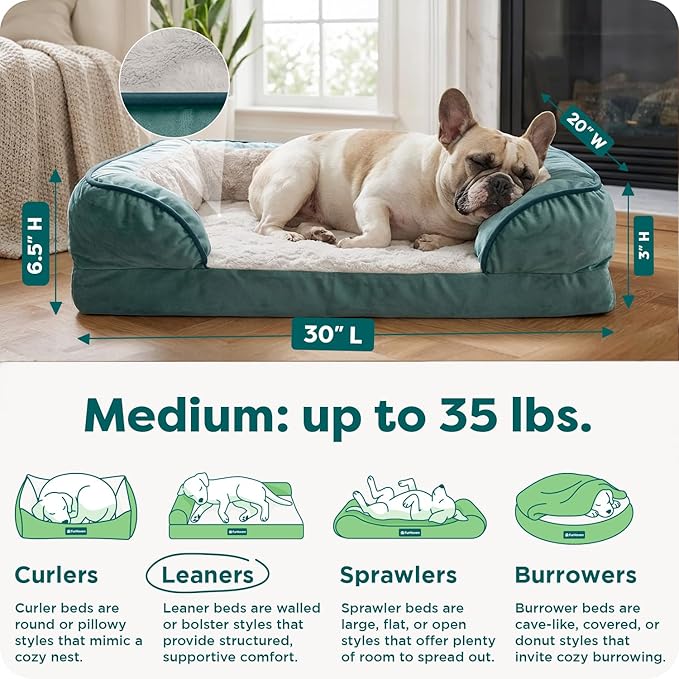 Furhaven Memory Foam Dog Bed for Medium/Small Dogs w/ Removable Bolsters & Washable Cover, For Dogs Up to 35 lbs - Plush & Velvet Waves Perfect Comfort Sofa - Celadon Green, Medium