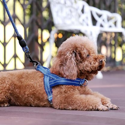 Plutus Pet No Pull Dog Harness with Breathable Mesh Padded, Adjustable Reflective Escape Proof Dog Harness, Quick Fit Dog Vest Harness for Small Medium Large Dogs(XS, Navy Blue)
