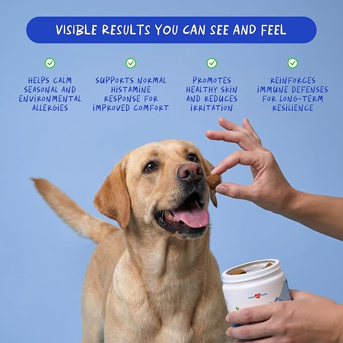 Allergy Support for Dogs - with Vitamin C, Omega 3 and Colostrum - Itch Relief, Allergy Relief for Dogs, Skin Soother - with Probiotics for Immune System Health (90 Soft Chews)