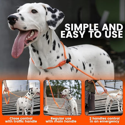 Howgo Dog Slip Lead Dog Leash, Training Leash, No-Pull Lightweight Slip Lead and Collar, Heavy Duty & Durable, Padded Handle, for All Breeds (Brown, 5FT)
