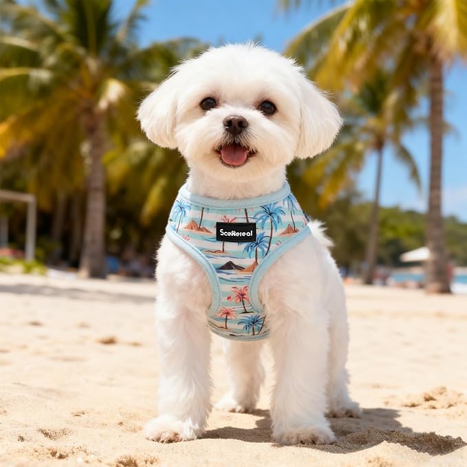SCENEREAL Small Dog Harness and Leash Collar Set - No Pull Dog Harness for Small & Medium Sized Dogs - Soft Mesh Vest for Puppies, Chihuahua, Yorkie, Spring Summer Hiking Walking, Coconut Tree XS