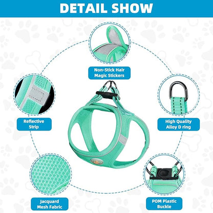 Hipubby Dog Harness and Leash Set, No Pull Soft Mesh Puppy Harness for Small Medium Dogs, Cats - Step in Reflective Breathable Lightweight Vest Harness for Walking, Training - Green, XXS