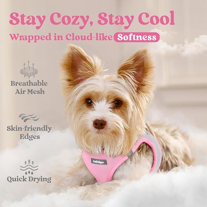 rabbitgoo Small Dog Harness, Step-in Soft Mesh Puppy Vest with Safety Buckle, Breathable Reflective Pet Harness for Extra Small Dogs, Pink & Gray XXS