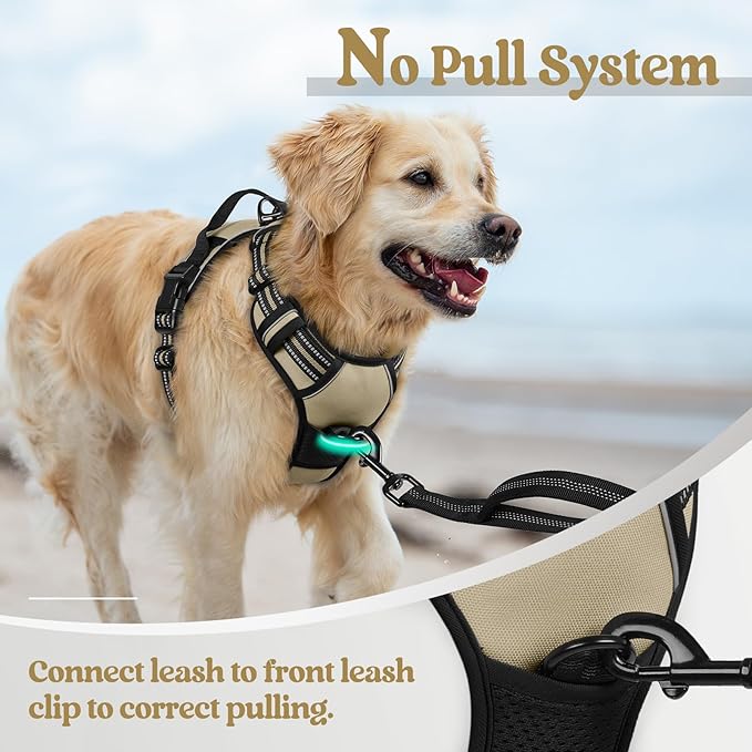 rabbitgoo Dog Harness No Pull with 2 Leash Clips, Adjustable Soft Padded, Reflective Oxford No Choke Pet Vest with Easy Control Handle for Small Dogs, Beige, S