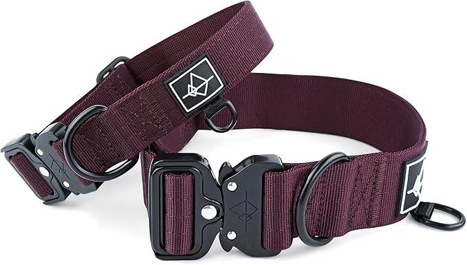 Made to ROAM Premium Dog Collar - Adjustable Heavy Duty Nylon Collar with Quick-Release Metal Buckle (Vermont Weekends, Classic Size 5)