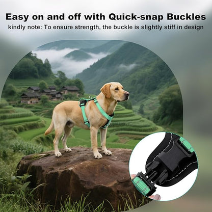 Plutus Pet Adjustable No Pull Dog Harness with Leather Accents, Heavy Duty Reflective Nylon Vest for Training, Hiking, Easy Walk Harness for Small, Medium, Large Dogs (Teal, L)