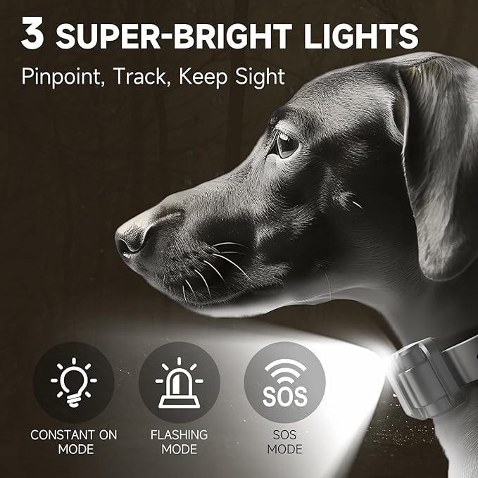 ABBIDOT Dog Shock Collar (10-120 lbs) - 5280 FT Dog Training Collar with Remote, IPX7 Waterproof with 4 Training Modes, Extended Battery Life, Multi-Mode Night Light, Rechargeable Electric Dog Collar