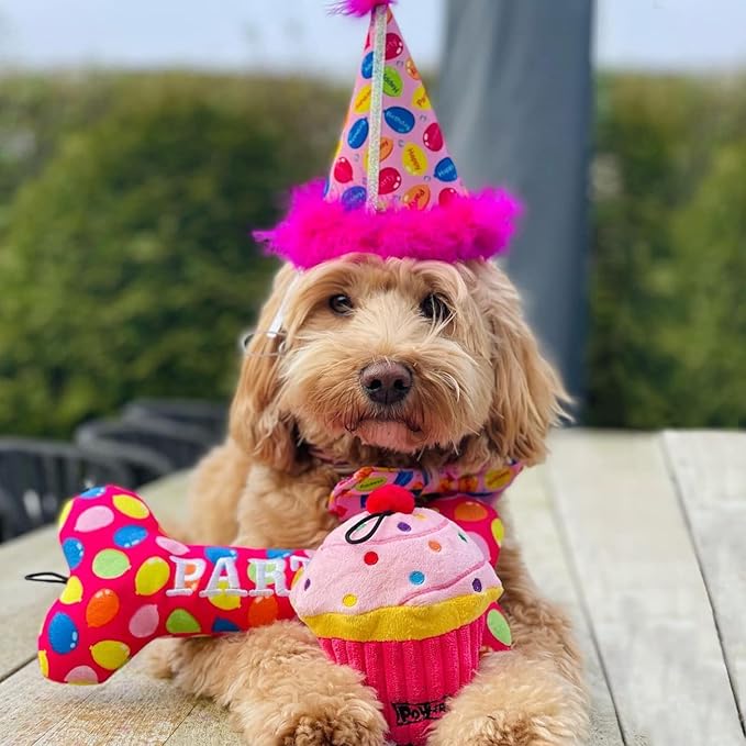 Huxley & Kent for Dogs | Party Time Pink Bone (Small) | Birthday Power Plush Dog Toy with Squeaker