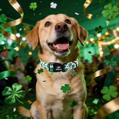 St. Patrick's Day Dog Collar, UP URARA PUP Shamrock Adjustable Pet Collar with Quick Release, Dog Accessories for Small Medium Large Dogs