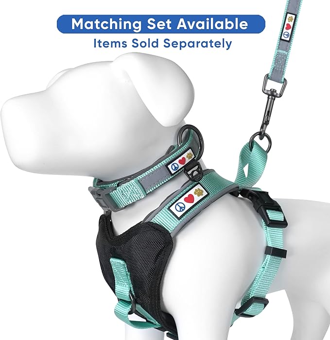 Pawtitas Personalized Teal Dog Leash 6 ft Custom ID Lead for Dogs & Puppies Reflective Comfortable Padded Handle Embroidered Name & Phone Number