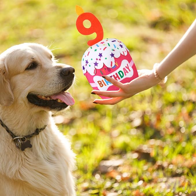 Dog Birthday Cake Toy Accessories for Girl Boy Gifts, Squeaky Plush Toy for Dog Birthday Party Decor Favor for Large, Medium and Small Dogs(9th,Pink)