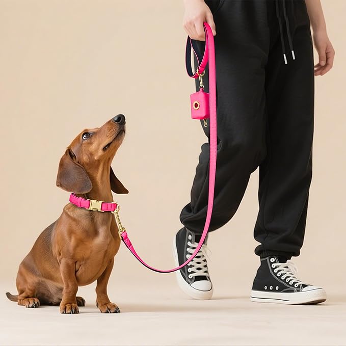 Didog 5FT Colorful Nylon Dog Leash with Soft Full-Length Padding, Lightweight and Durable Pet Leash for Medium and Large Dogs, Pink, M