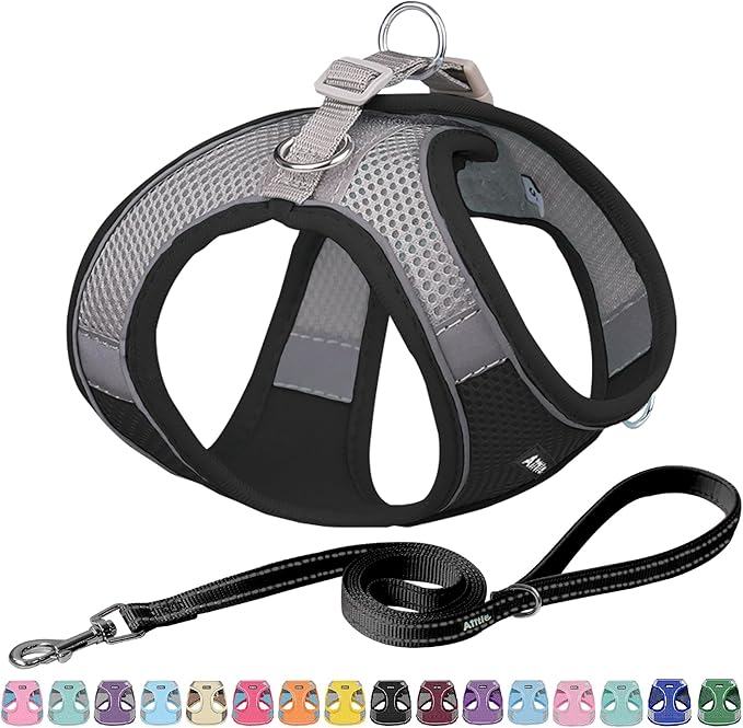 AIITLE Escape Proof Dog Harness - Step in Adjustable Dog Harness No Choke Over with Breathable Mesh and Quick-Release Buckle for All Weather- Outdoor Walking, Training for Medium Dogs Black XL