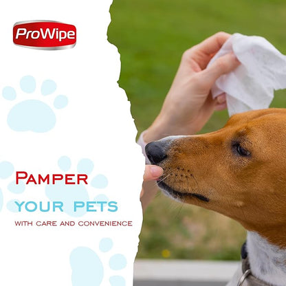 Prowipe Pet Wipes, Dog Wipes, Cat Wipes, Grooming & Cleaning Wipes for Paws and Butt with Aloe Extract & Vitamins, Perfect as Eye, Ear Wipes, Suitable for Puppy, Kitten, Dogs and Cats, 4Pack x 40-160