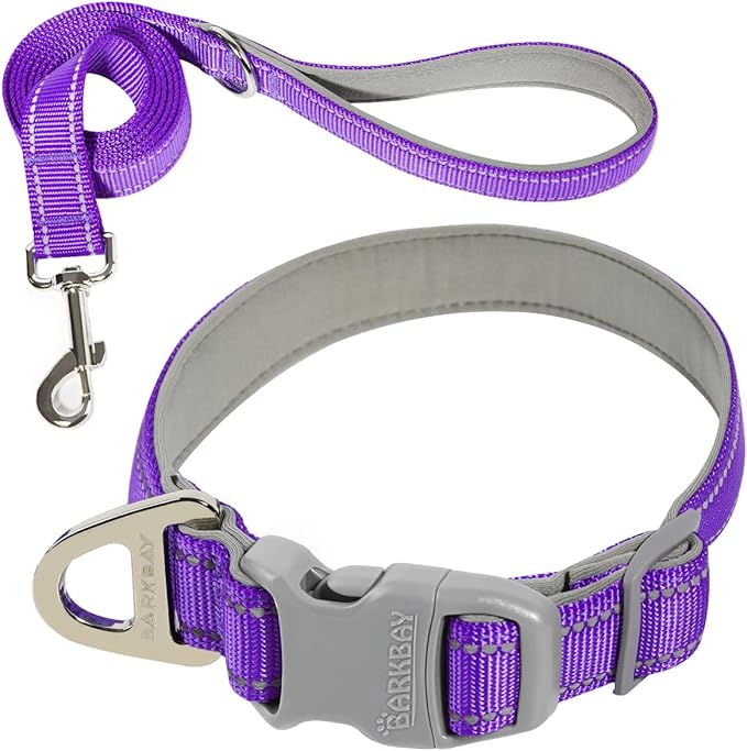 Dog Collar for Medium Small Large Dogs Reflective with Leash,Collar and Leash for Dogs,Soft Neoprene Padded 2 Pack(Purple,L)
