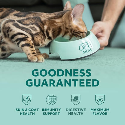 Optimeal Grain-Free Wet Cat Food Pouches – Chicken & Turkey in Savory Gravy, High Protein & Moisture-Rich Tender Morsels, Indoor Adult Cat Food Wet with Natural European Ingredients, 3 oz (Pack of 12)