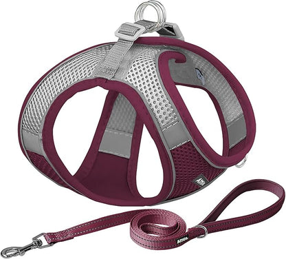 AIITLE No Pull Dog Harness and Leash Set, Christmas Step in Adjustable Dog Harness with Padded Vest for All Weather, Dog Leash with Soft Padded Handle, Easy to Put on Small and Medium Dogs Burgundy S