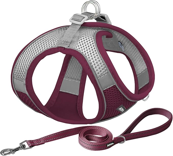 AIITLE Small Harness for Puppy with A Leash - Christmas Dog Vest Harness with Super Breathable Mesh, Reflective No-Pull Pet Harness for Outdoor Walking, Running for Small Dogs, Cats Burgundy XXS