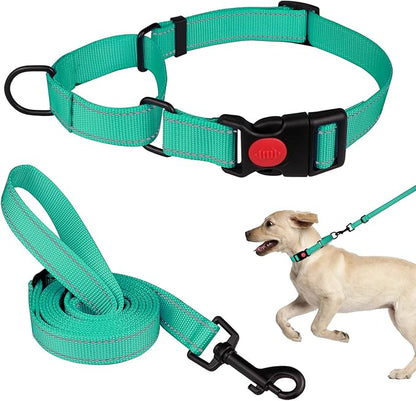 Martingale Dog Collar and Leash Set Martingale Collars for Dogs Reflective Martingale Collar for Small Medium Large Dogs(Mint Green&M)