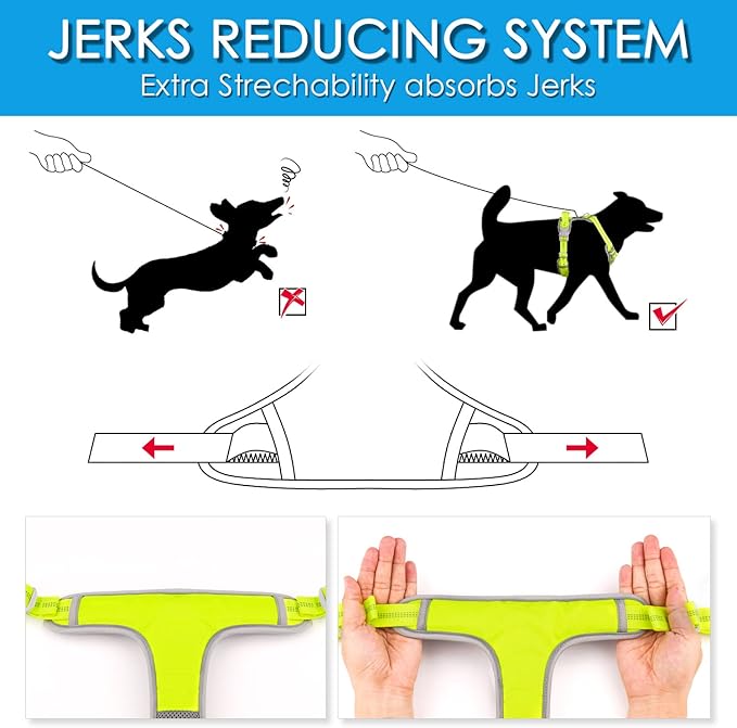 ThinkPet No Pull Harness Set Breathable Sport Harness with Handle - Reflective Padded Dog Safety Vest with Reflective Neon Dog Leash S Harness Leash Pack Green